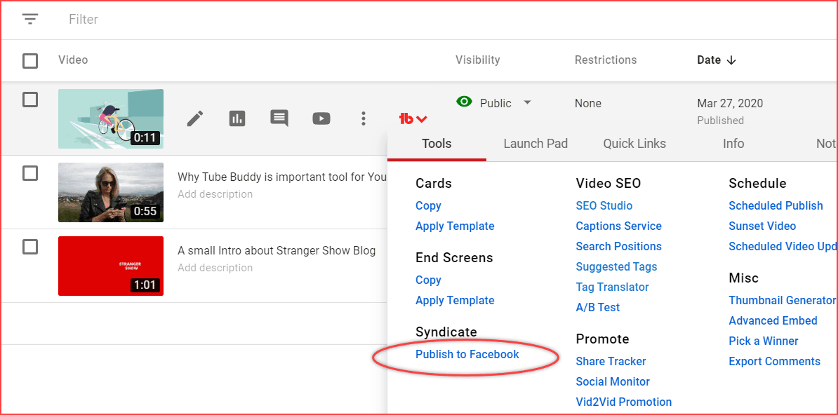 Choose publish to facebook by TubeBuddy