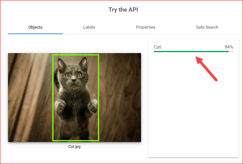 Cloud vision AI detection image object