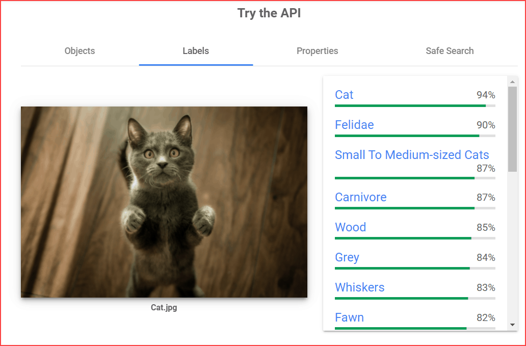 Cloud vision AI label detection