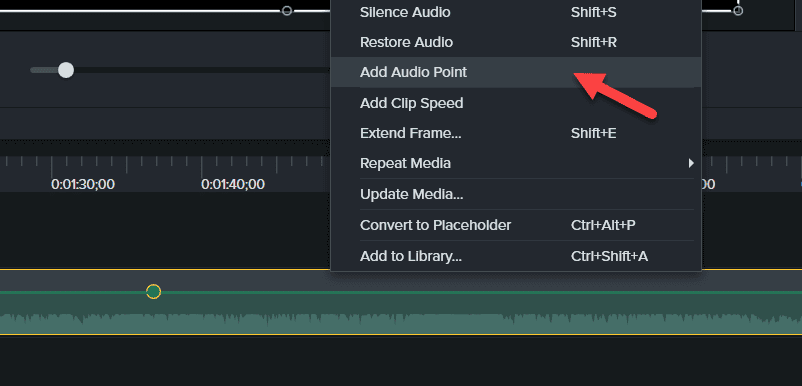 Adding Audio Points to Adjust