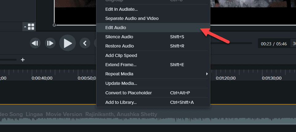 Edit Audio Point