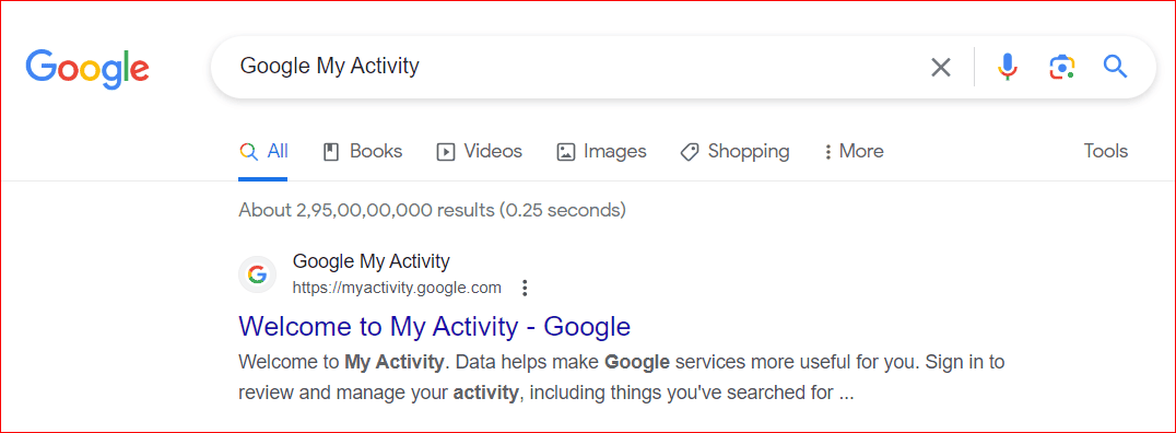Google My Activity Page on Search Engine