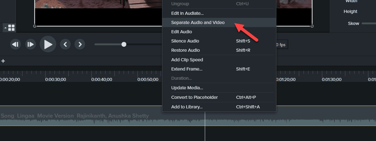 Select the Seperate audio and video