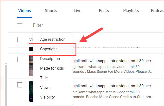 Copyright checker filter option