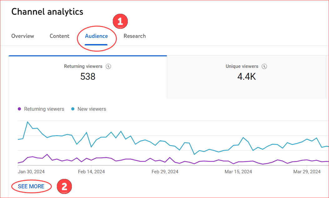 Channel Analytics Page Audiences overview