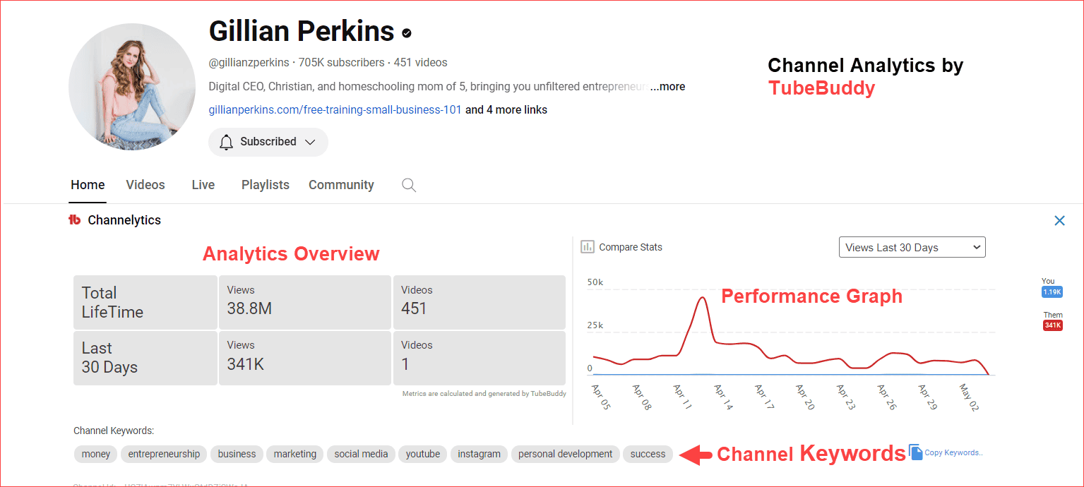 Channel Analytics by TubeBuddy