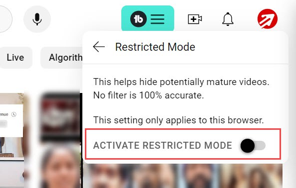 Activate Restricted Mode